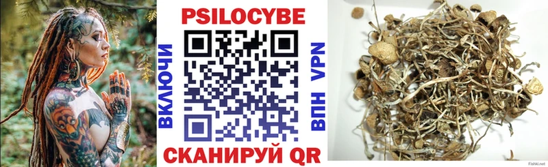 Галлюциногенные грибы мицелий  купить закладку  Рудня 
